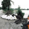 skmbt_c25310030510132